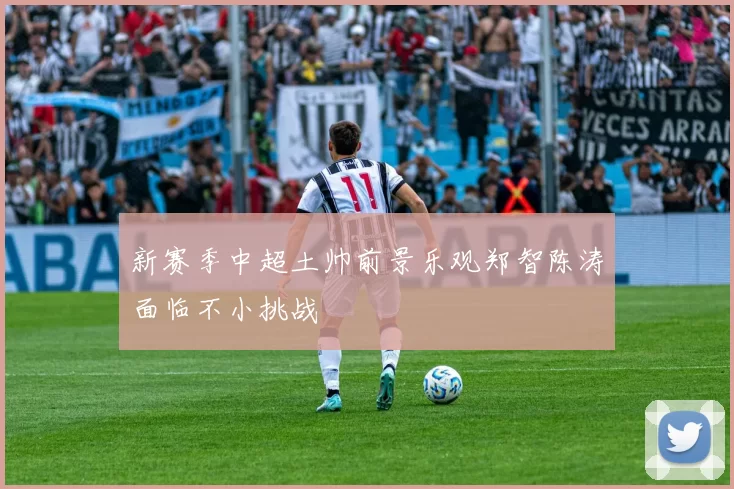 新赛季中超土帅前景乐观郑智陈涛面临不小挑战